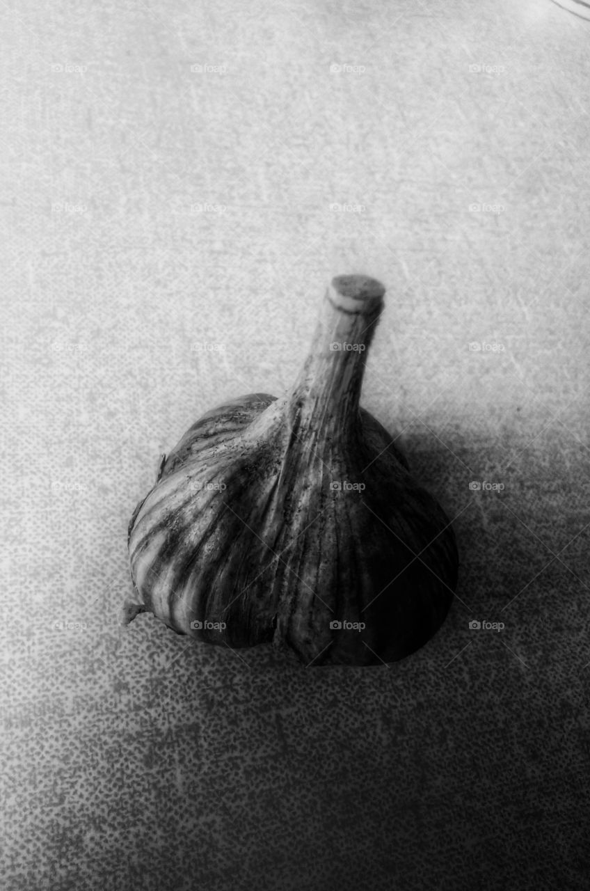 garlic. black and white photo. no disease