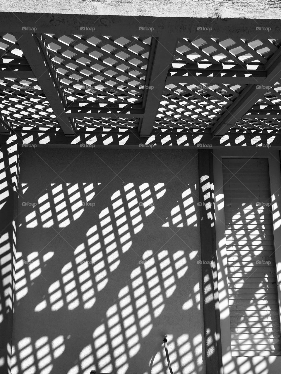 Rectangular lattice shadows