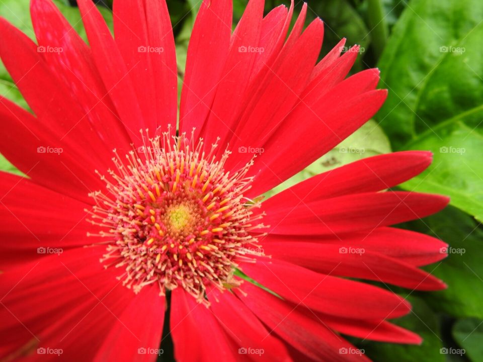 Red Looks Good on You