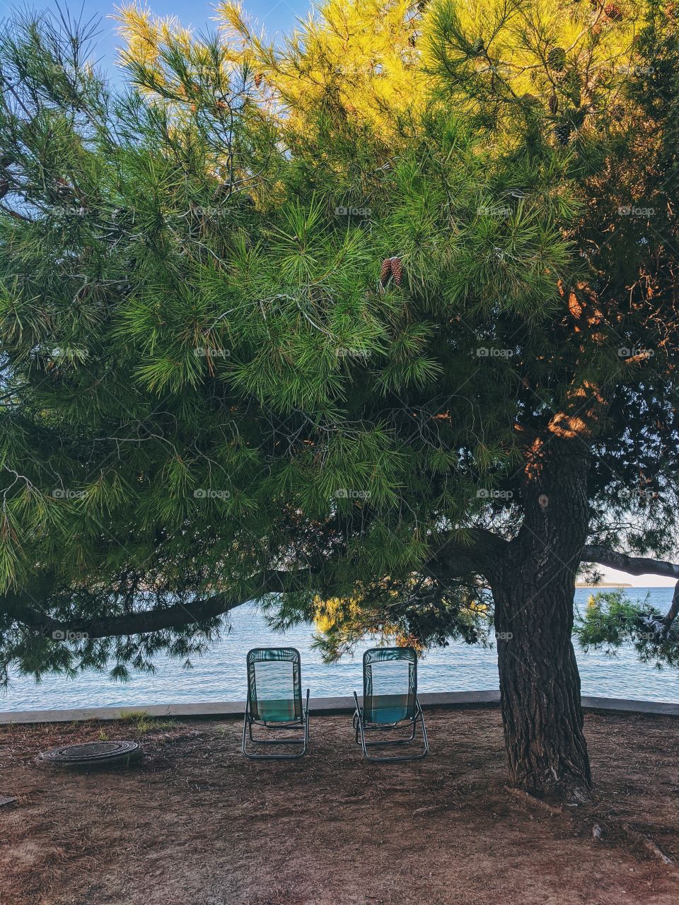 Relaxing place at the adriatic seaside in summer