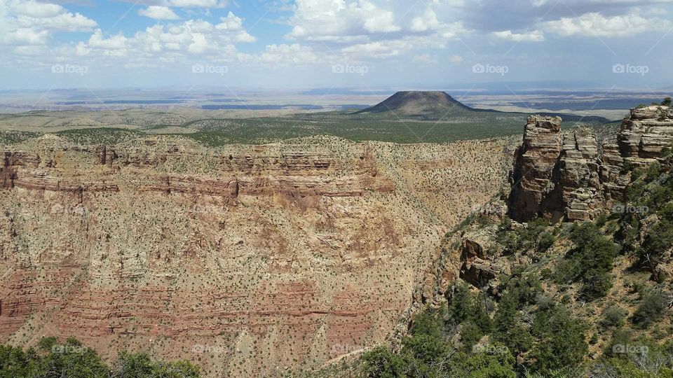 A view of the Grand Canyon