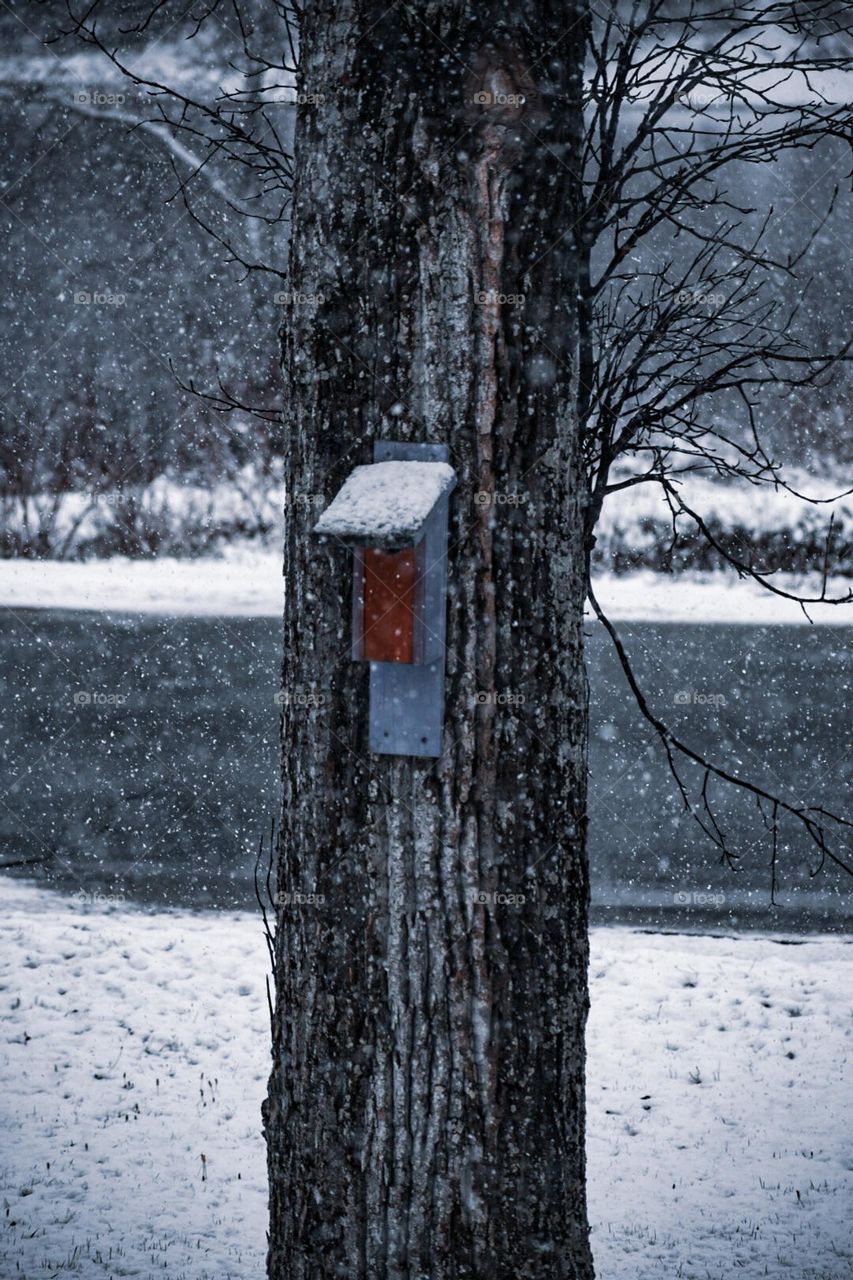 Winter has come! I just love winter. The cold weather, the snow, and wearing winter clothes! I just love it! Happy Winter season, everyone! 