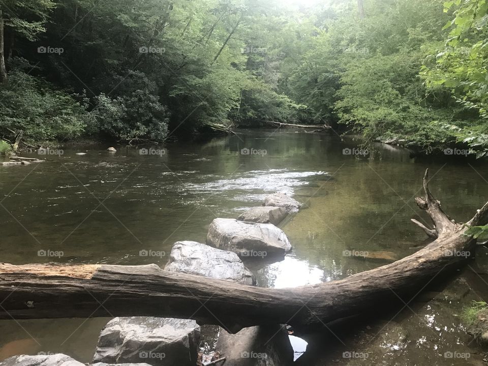 Logs and stones on a river 