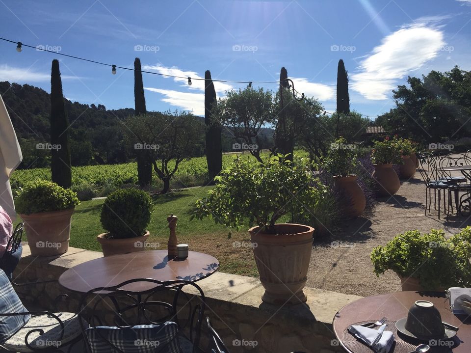 Italian Garden landscape