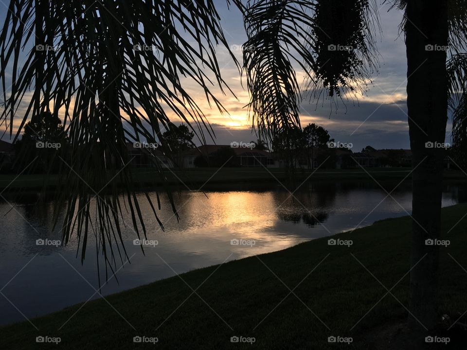 Reflection in sunshine state 