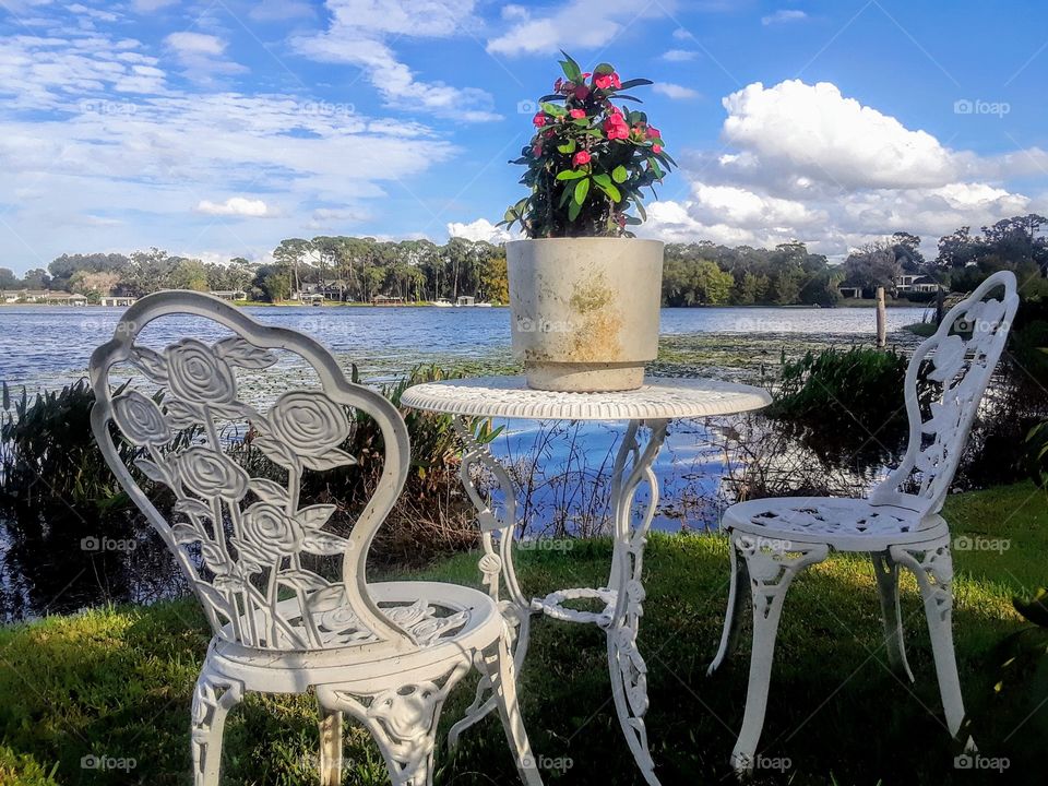 patio chairs, and tropical plant on table  near lakeshore in Orlando