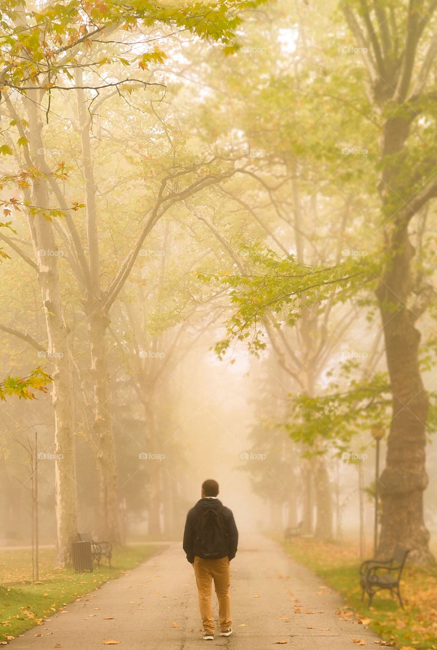 Morning walk to the autumn