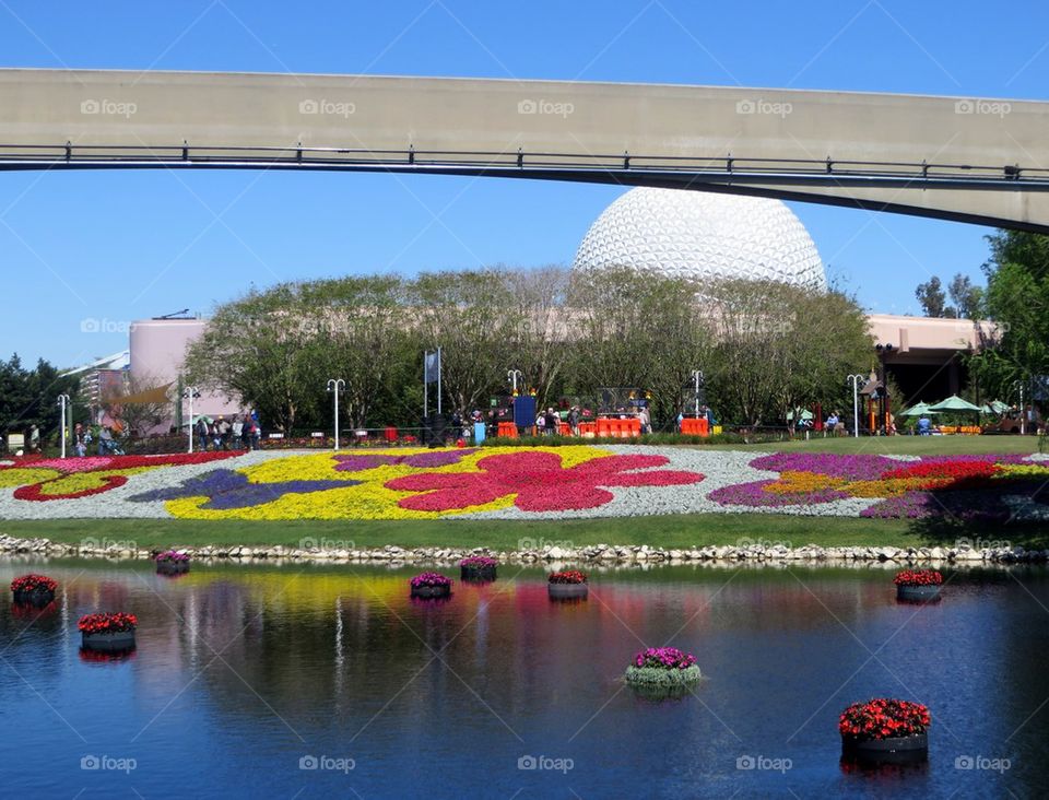 Epcot flower festival