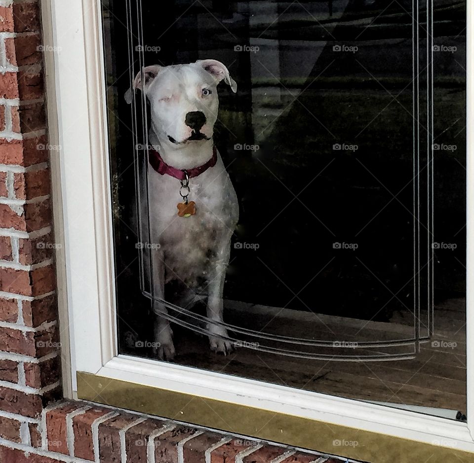 I'll be right here waiting for you Dad!!