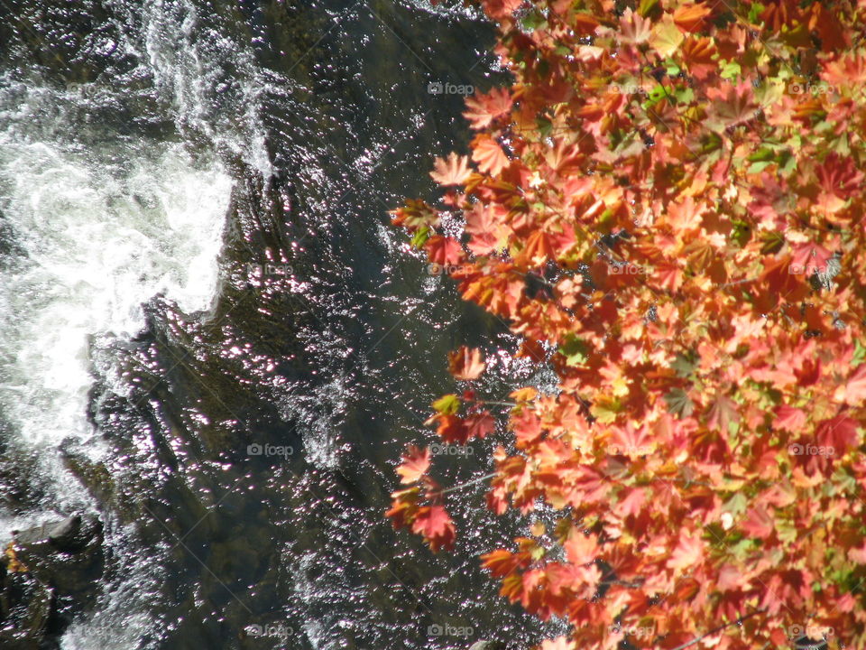 rock, water, leaves.....3 textures at Quechee Gorge