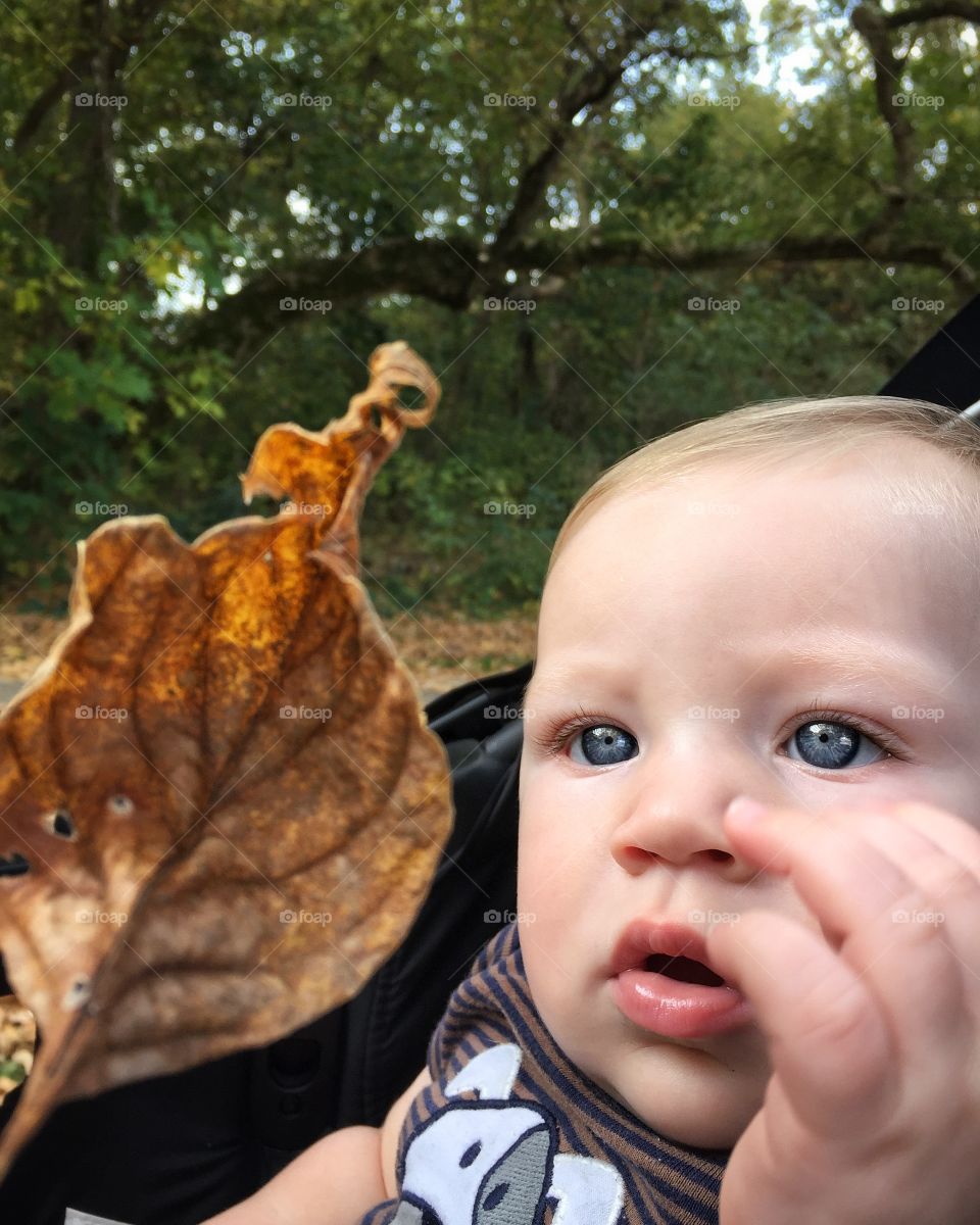 Baby boy discovering fallen leaf