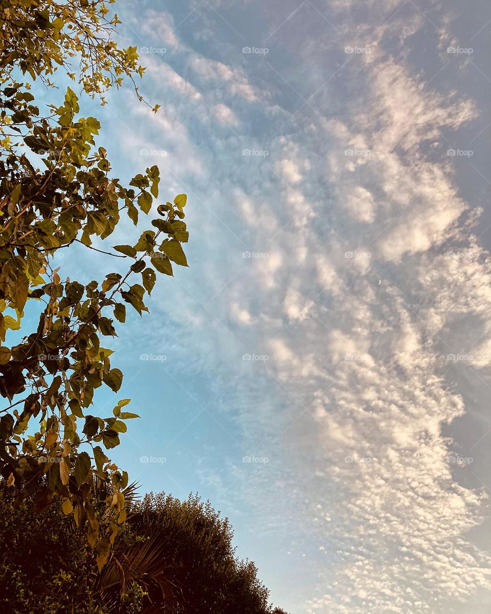 🌄🇺🇸 An extremely beautiful dawn in Jundiaí, interior of Brazil. Cheer the nature! / 🇧🇷 Um amanhecer extremamente bonito em Jundiaí, interior do Brasil. Viva a natureza! 
