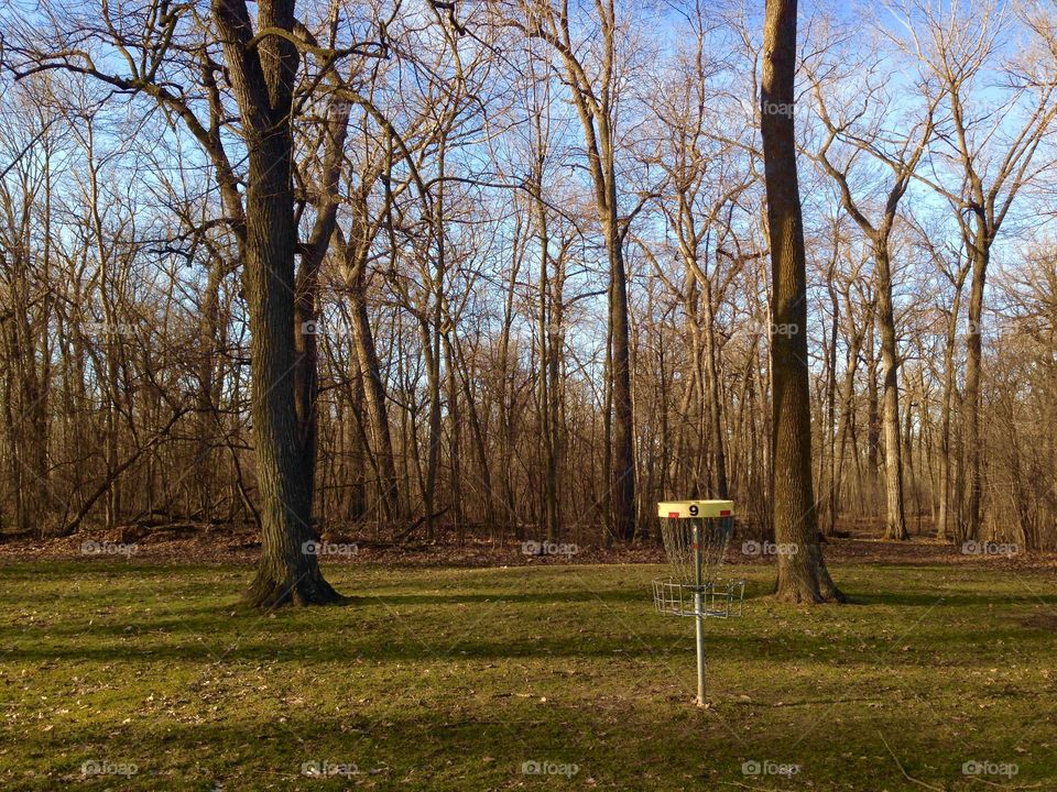 Disc Golf 2