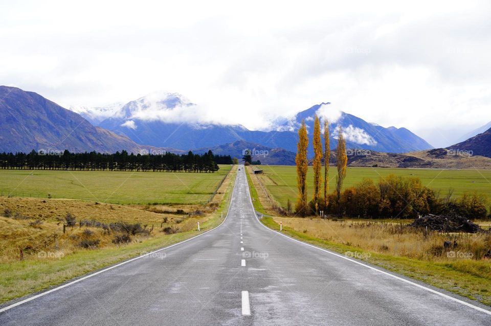 Road view in South Island,New Zealand 