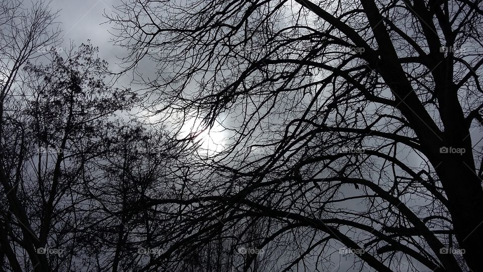 Sunshine on sunday the netherlands