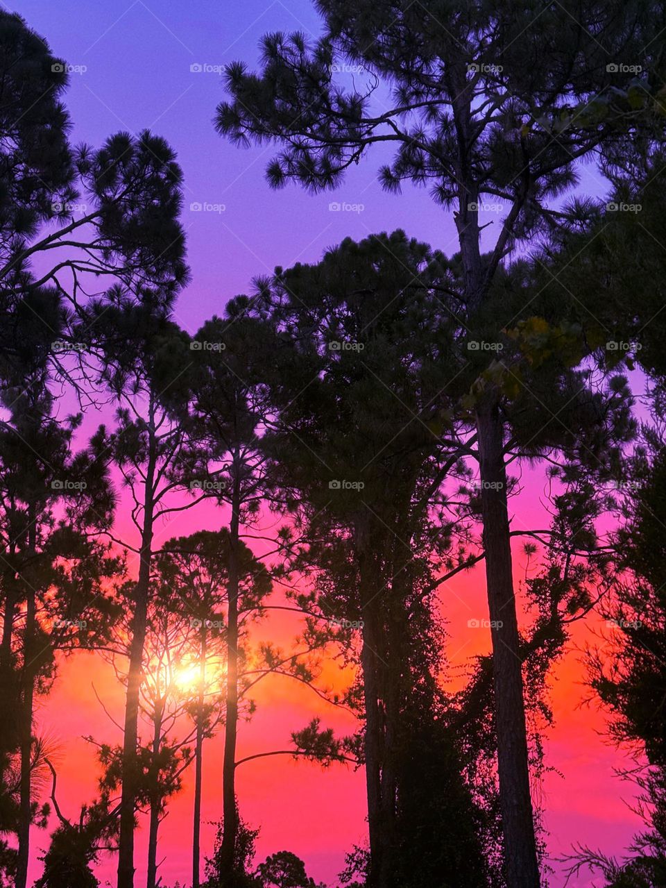 Spectacular vivid sunset.