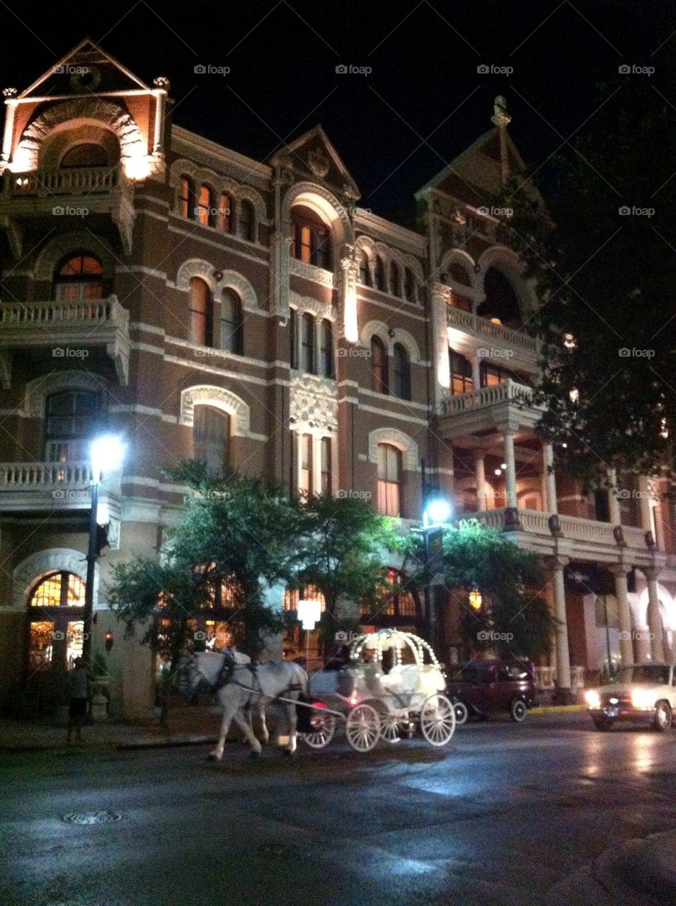 The driskill