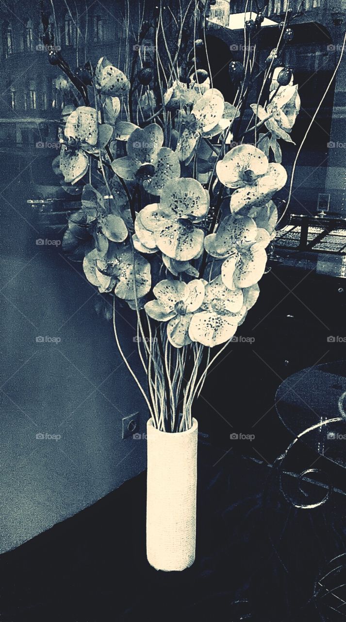 retro photo of flowers. home decore.