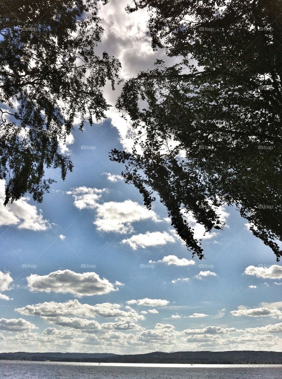 sky sweden clouds trees by smartini65
