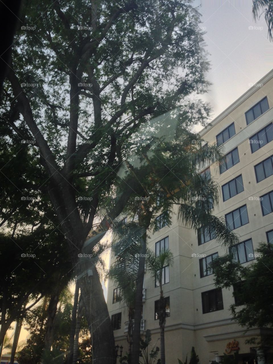 Another beautiful travel day

Published by:
HappyBrownMonkey 