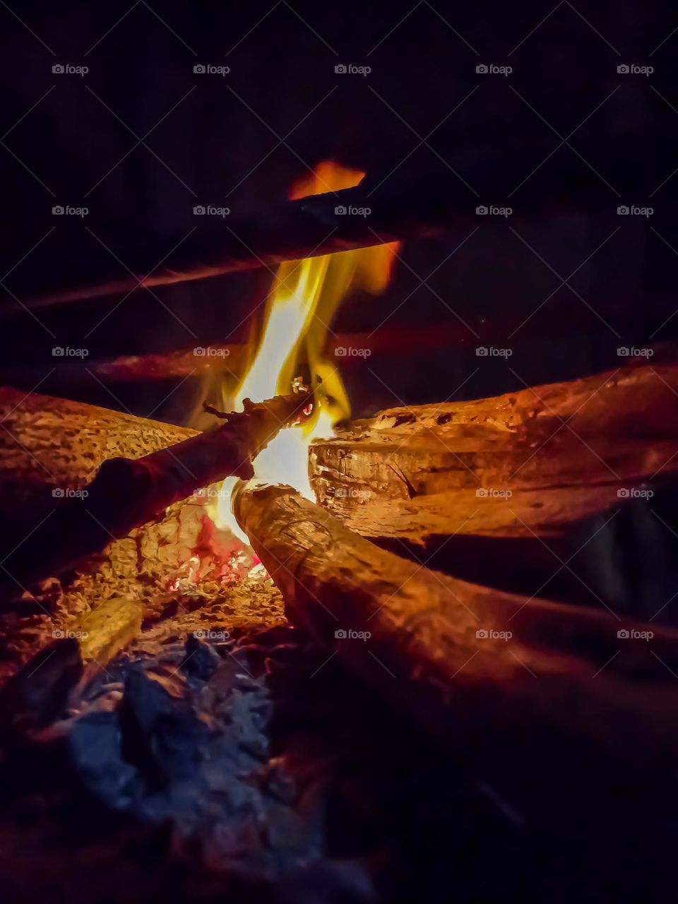 the best picture i taken