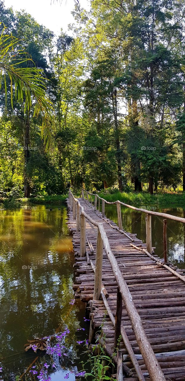Reserva Serra do Japi - Jundiaí- SP