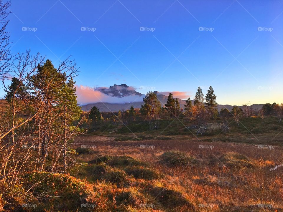 Narvik - north  Norway 