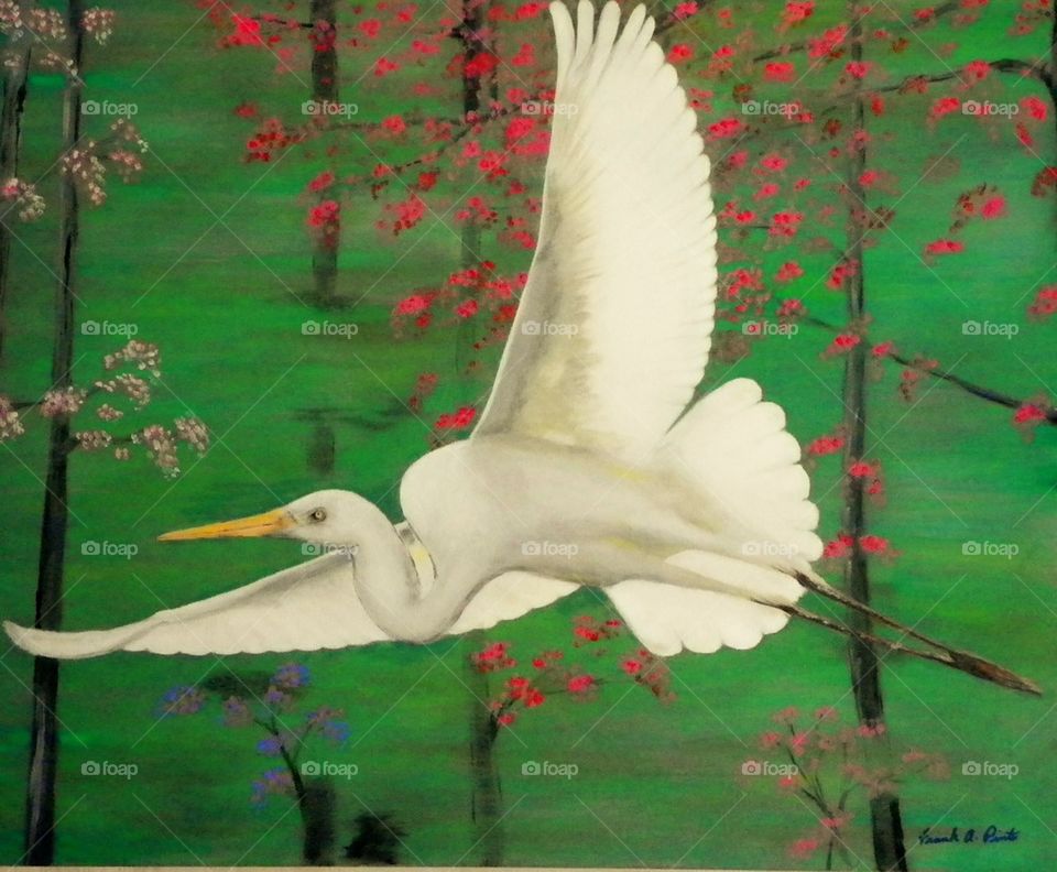 Egret in Flight