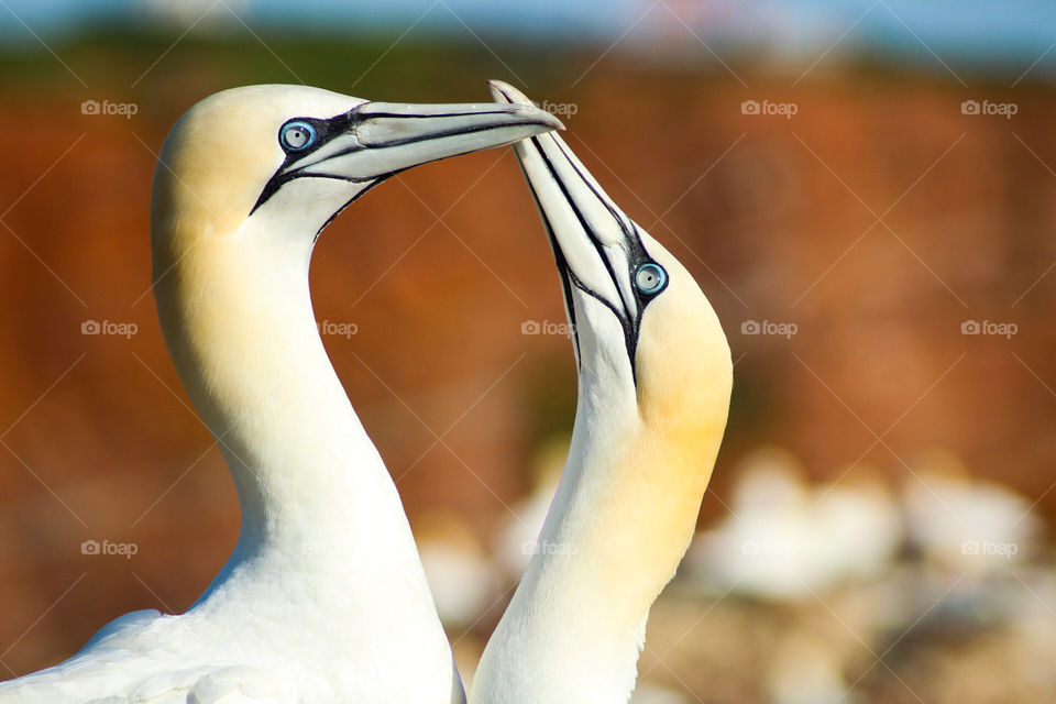 Expressive and minimalist is my focus