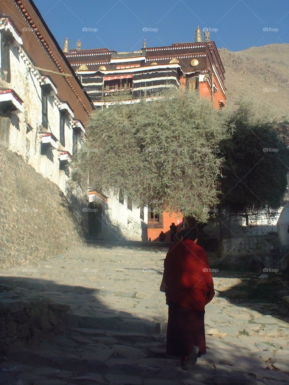 Tibetan monk