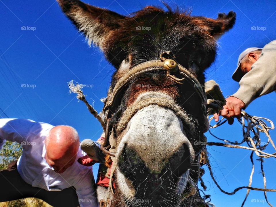 I was travelling in Kyrgyzstan with my colleagues. one dsy we nitice tgat man with a donkey.