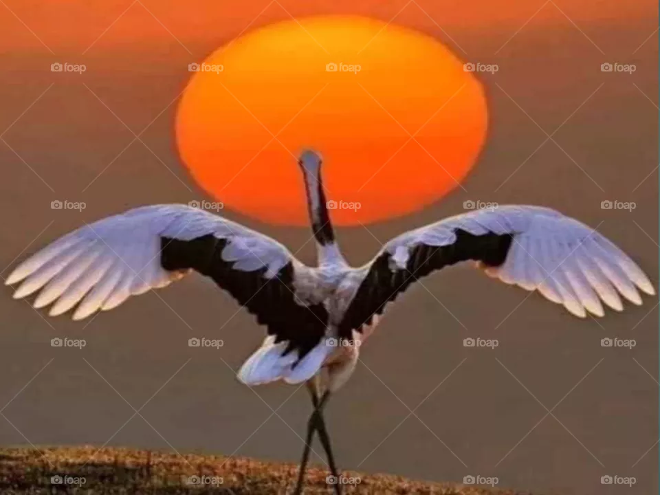 Neature beauty