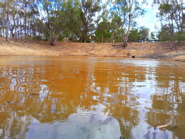 a beautiful muddy lake, sitting under the warn summer sun, rippling quietly and the world reflected in its waters