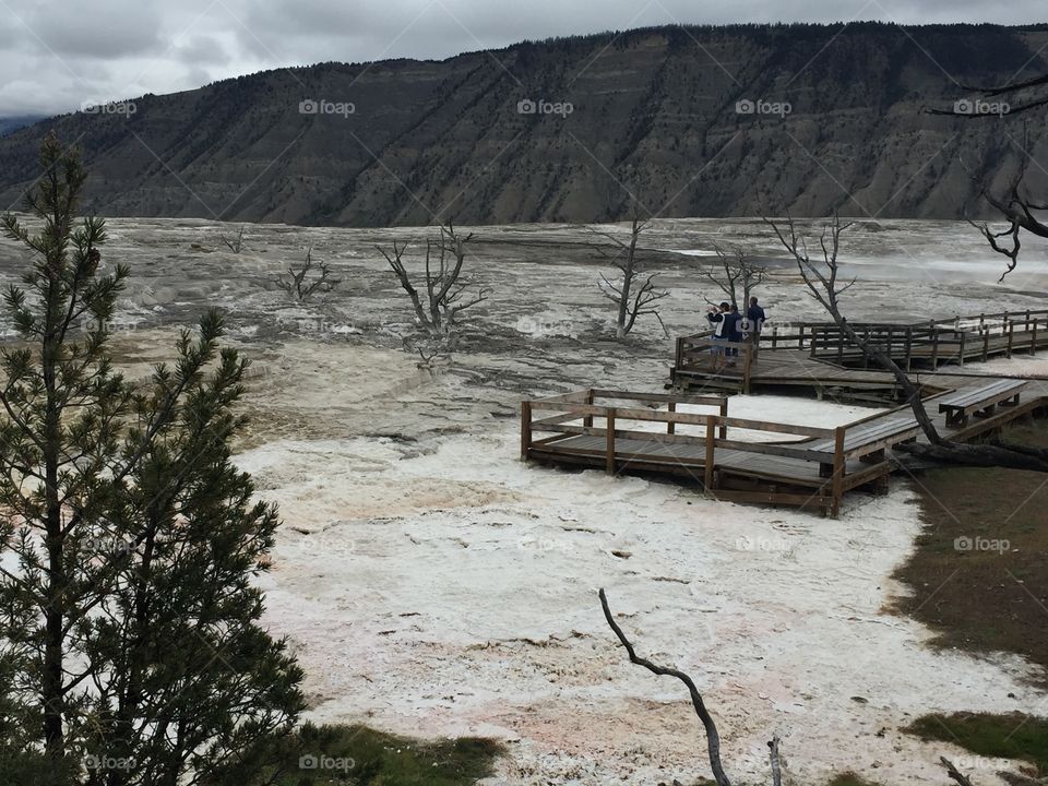 Mammoth Hot Springs