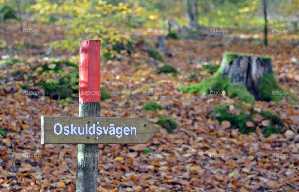 Oskuldsvägen, virgin path