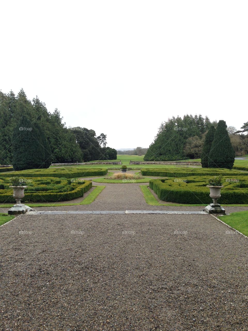 Road, Landscape, Tree, No Person, Guidance