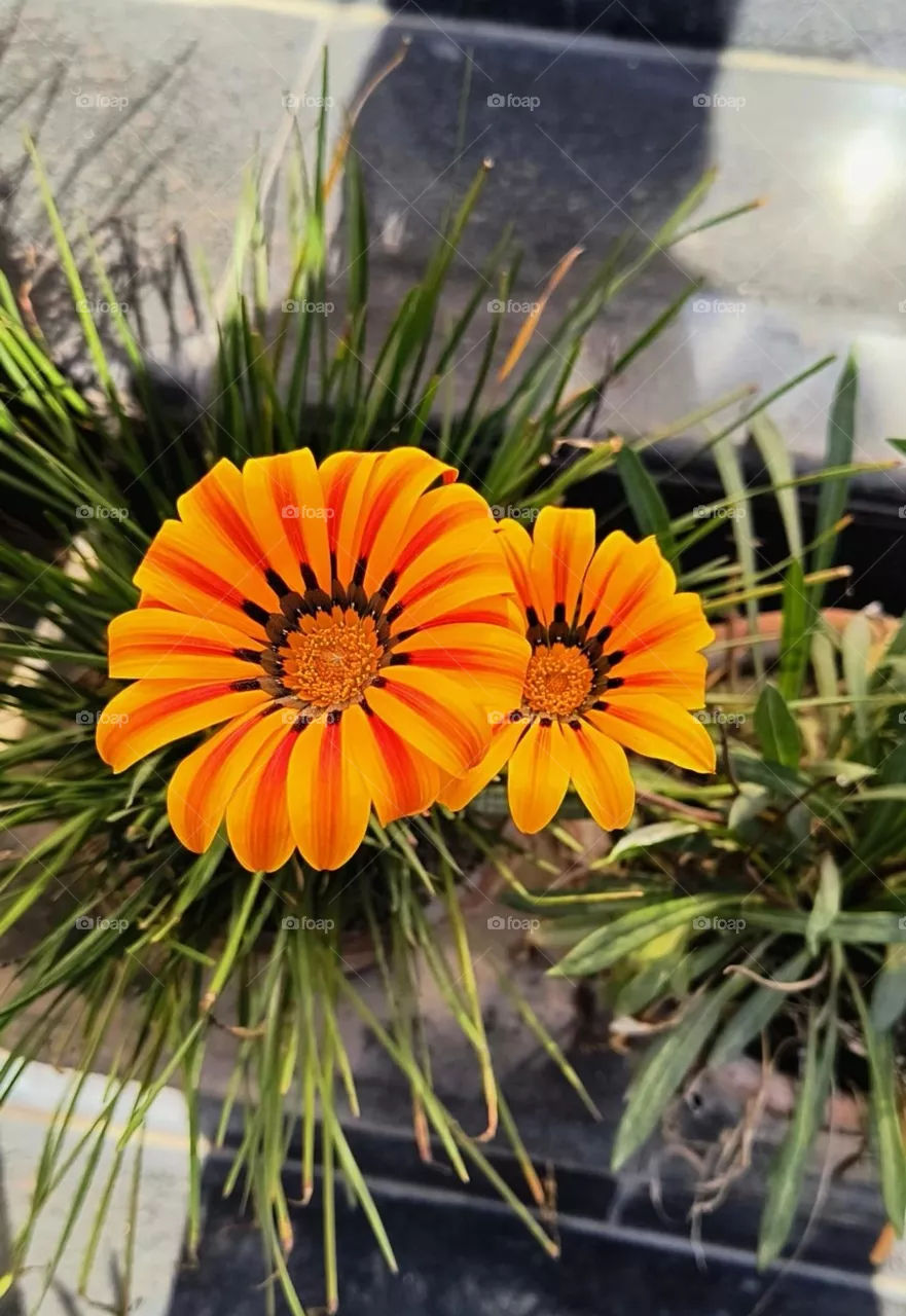 ♥️