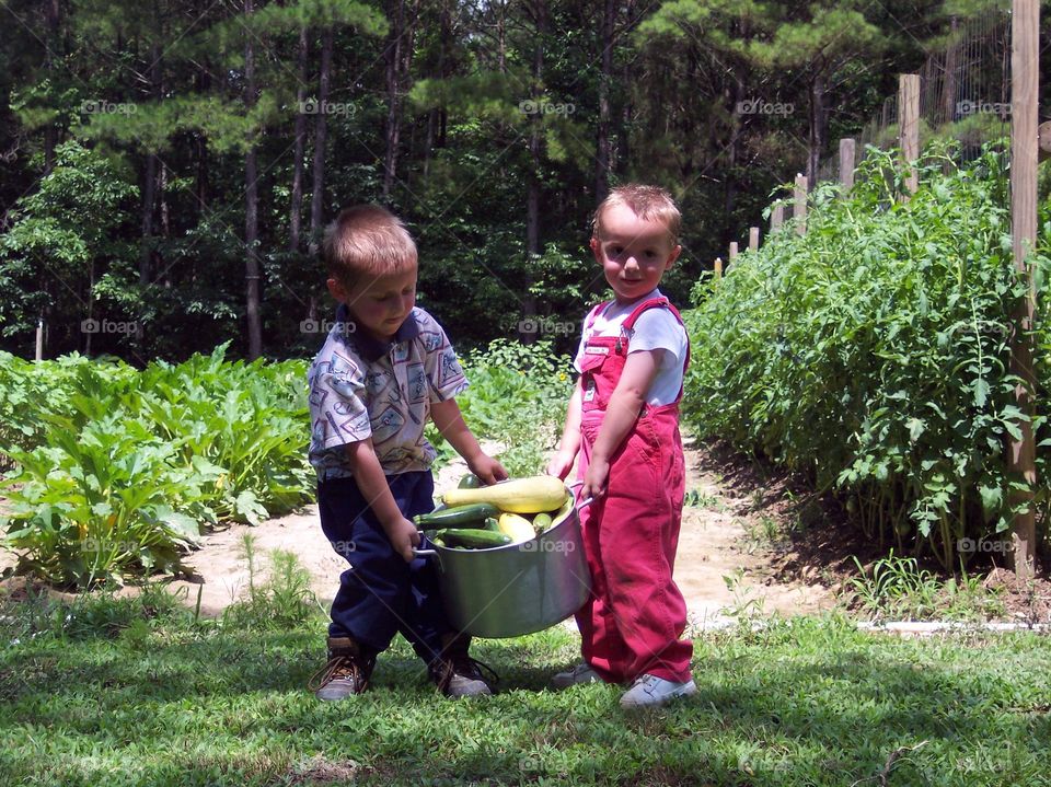 Boys Carrying Fresh Garden Vegetables