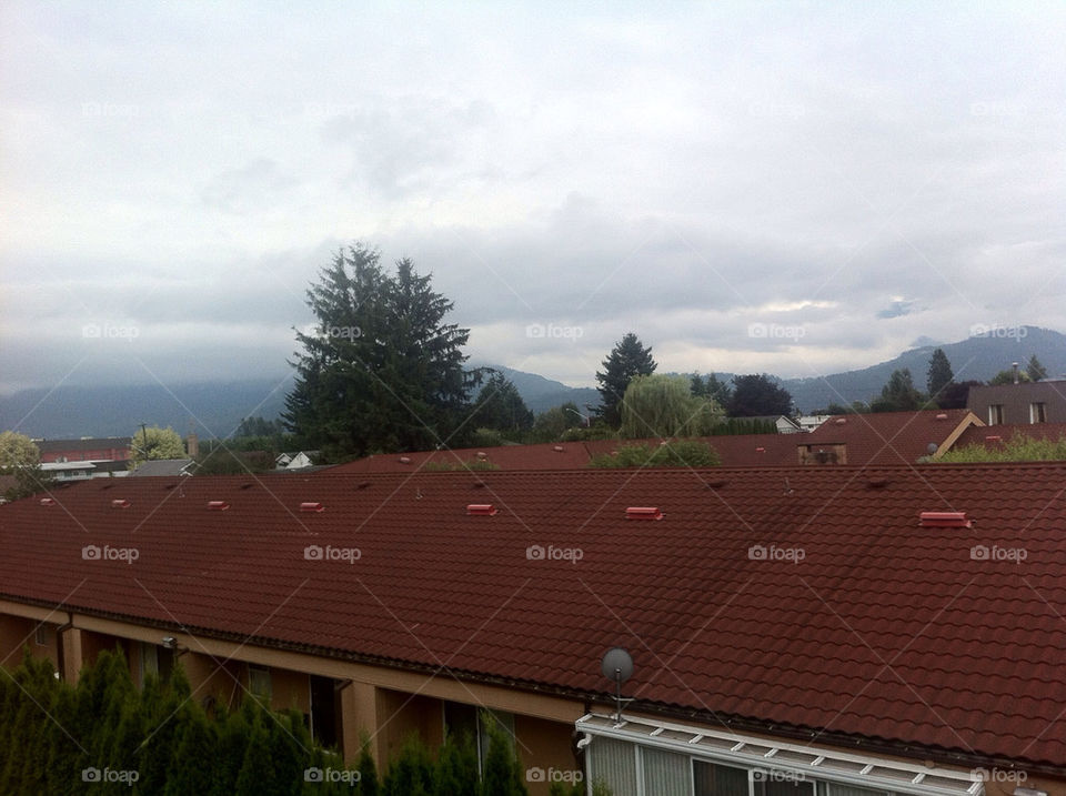 rooftops trees canada cloudy by stevesstudio