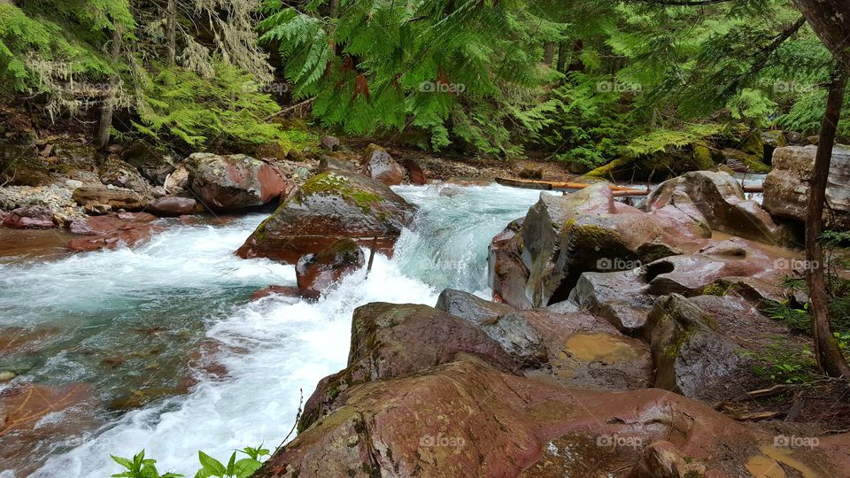 Avalanche Creek