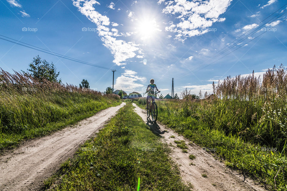 Midday sun in the country