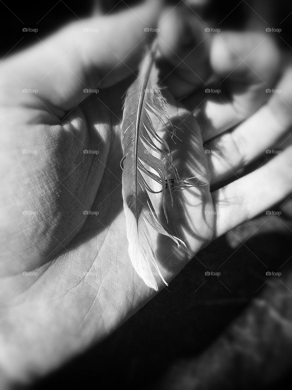 Feather with a Heart