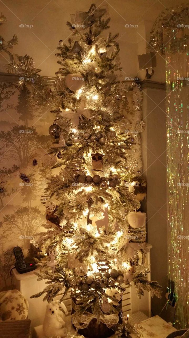 Christmas tree and young puppy