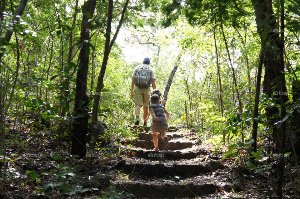 Hiking in the Magical Forest 