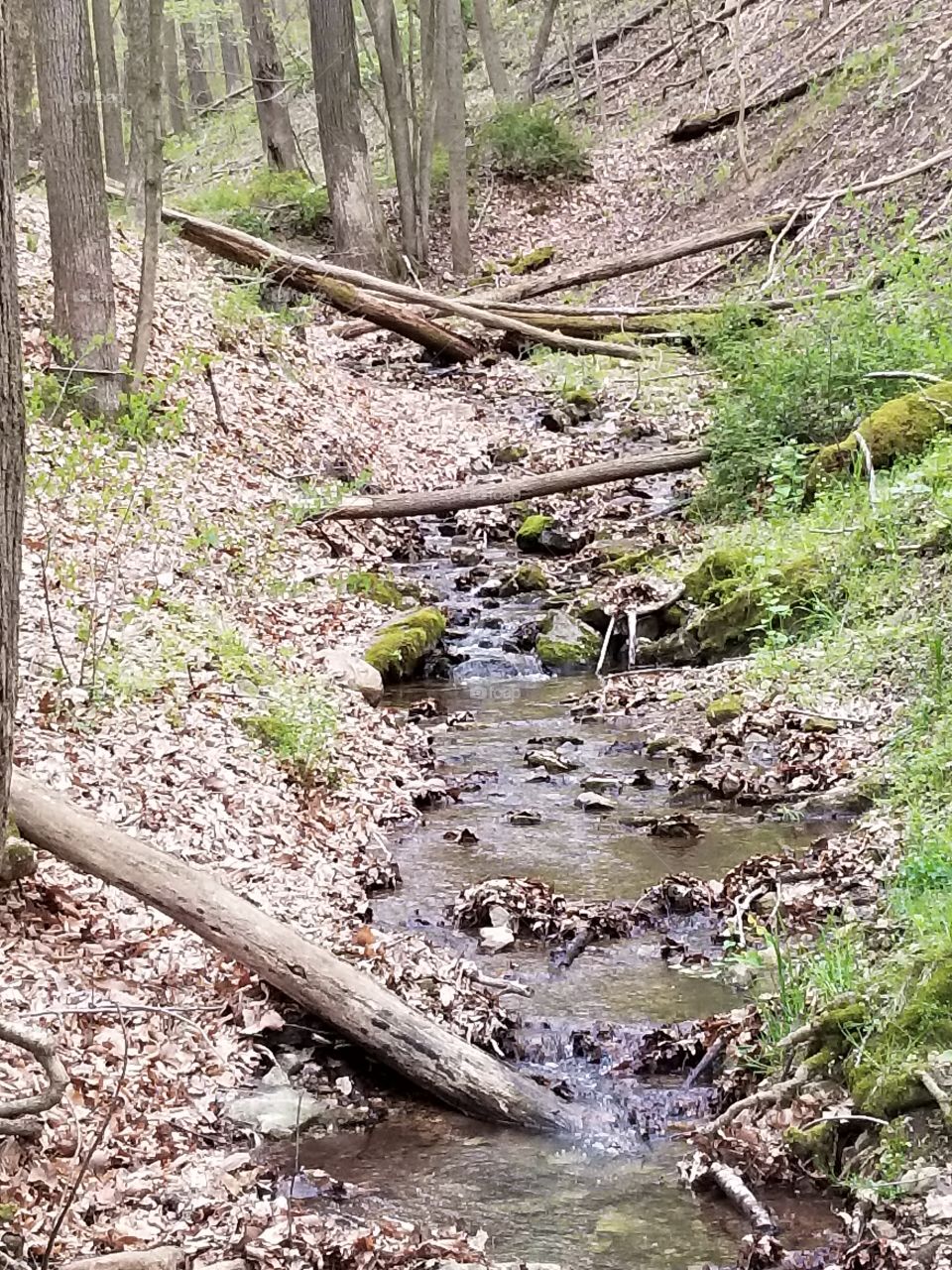 bedford springs creek