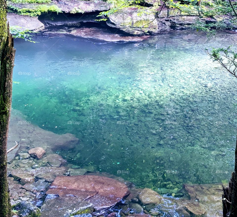 Still, brilliant blue creek water; natural watering hole; state park wonders