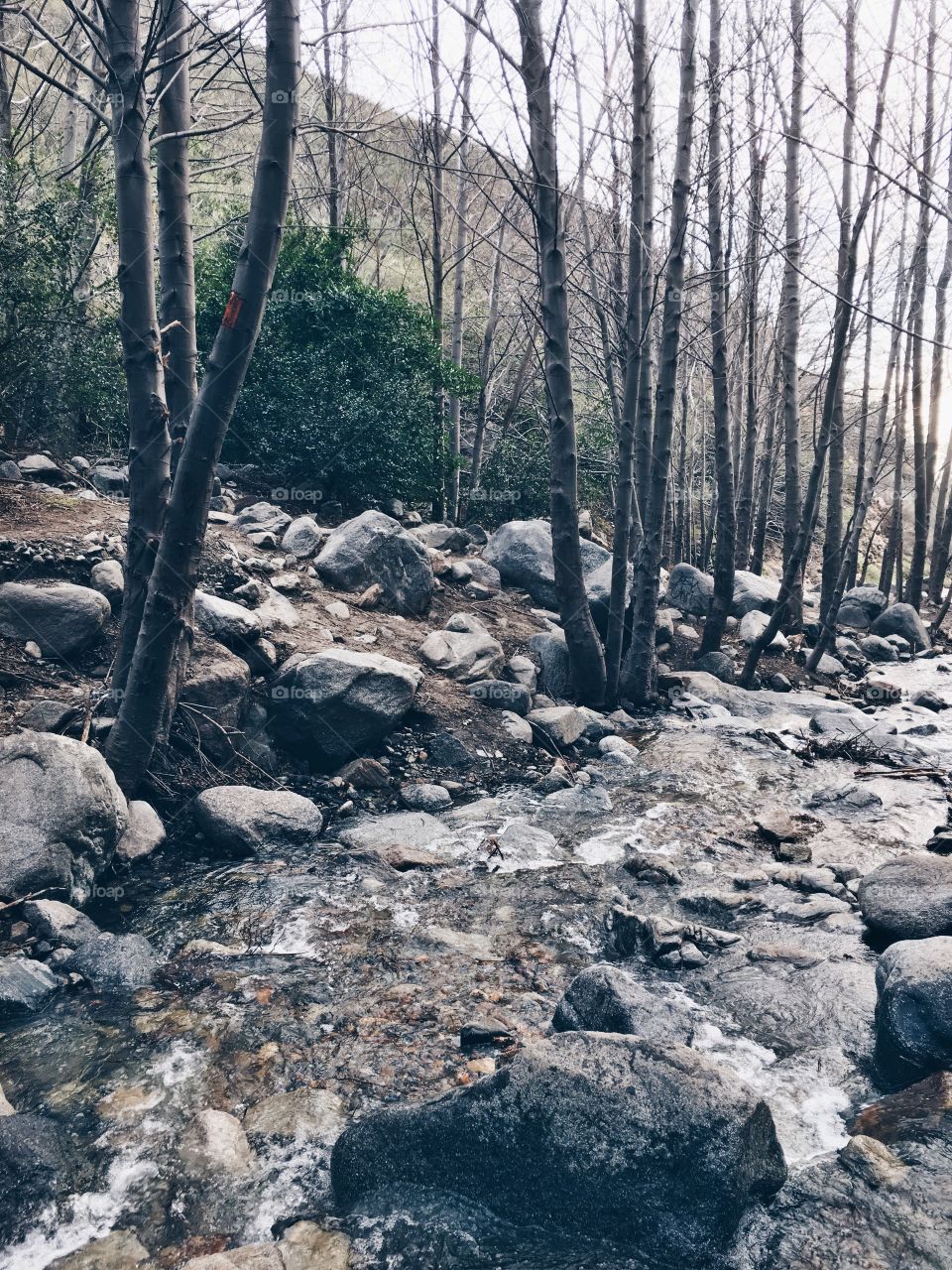 Flowing water over rocks