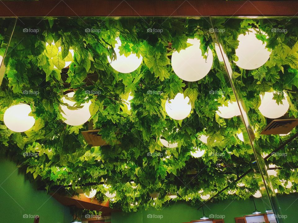 This photo was taken at a restaurant inside the mall. I think is very beautiful because the lamp and the leaf.