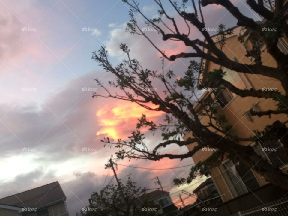 most beautiful house view in afternoon