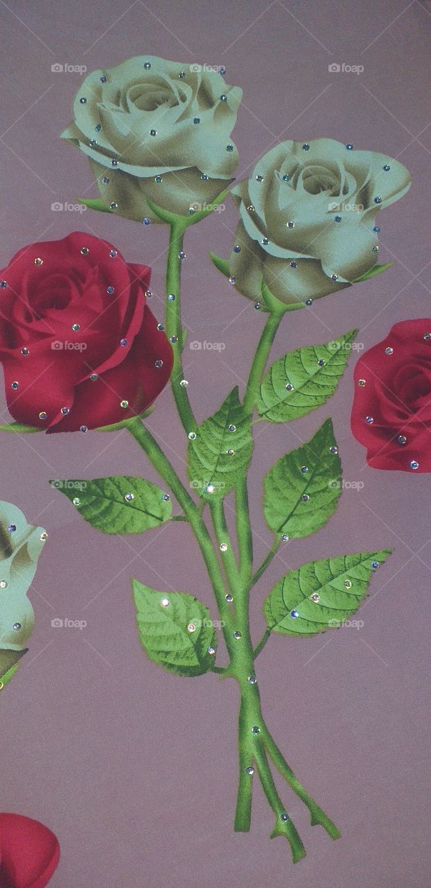 red rose🌹white rose